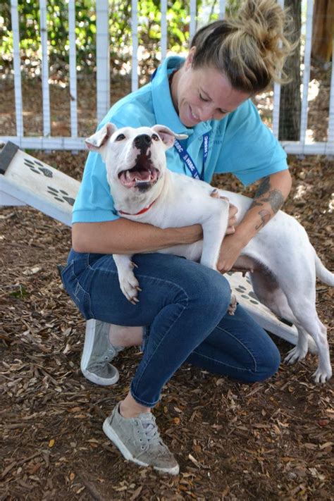 Humane society fort lauderdale - Contact the Humane Society directly at 954.266.6875 or email us at therapy@hsbroward.com. 